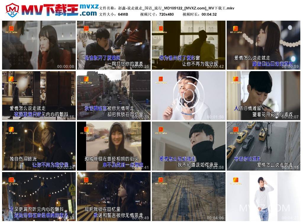 赵鑫-说走就走_国语_流行_MD105122